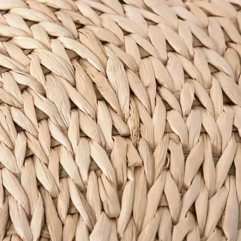 Arbre à Chat Panier Confort avec Griffoir