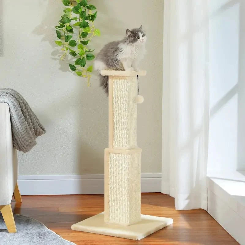 Griffoir Chat Robuste avec Jouet Sisal