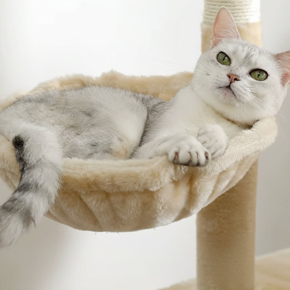 Arbre à Chat Doubles Condos Hamac Bois Gris – Numbur