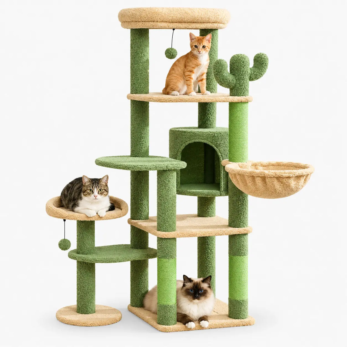 Arbre à Chat Grande Plateforme avec Griffoir