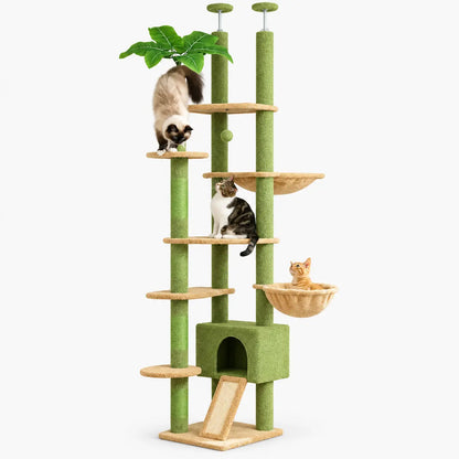 Arbre à Chat Plafond avec Hamac et Griffoir