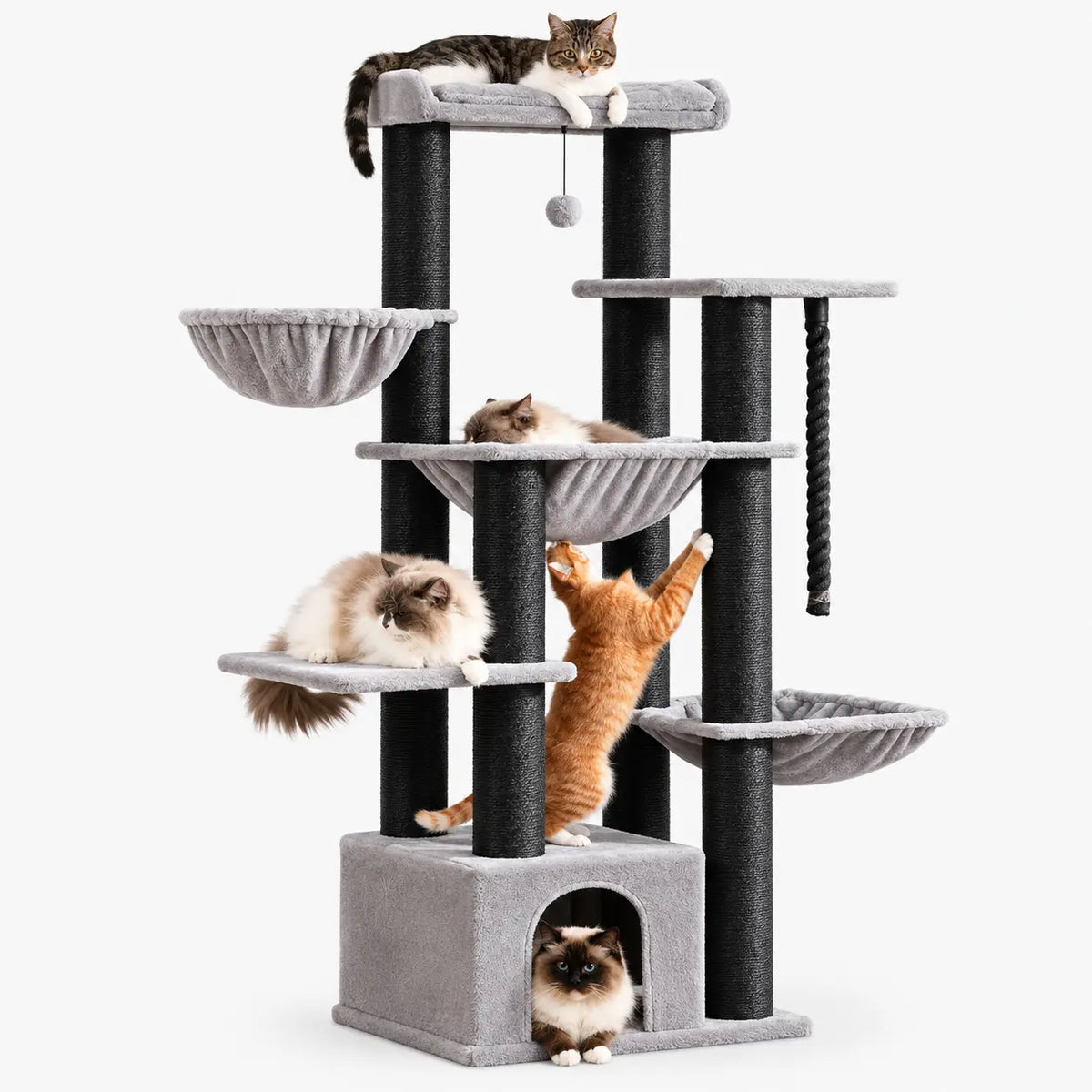 Arbre à Chat Multi-Niveaux avec Griffoir et Hamac