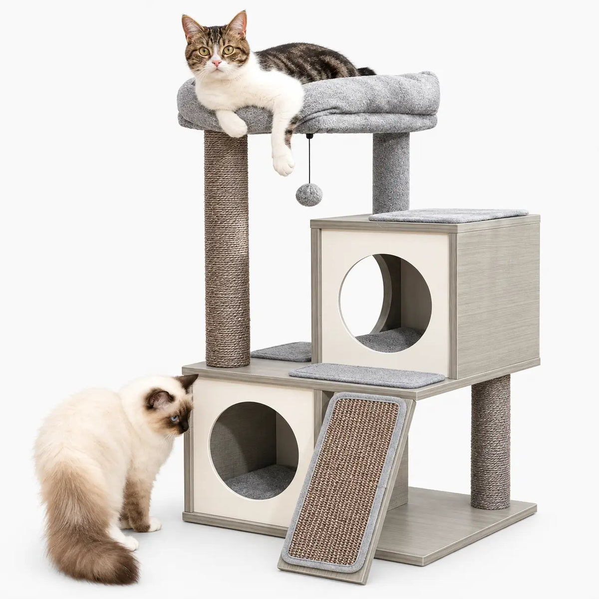 Arbre à Chat Moderne avec Griffoir Intégré