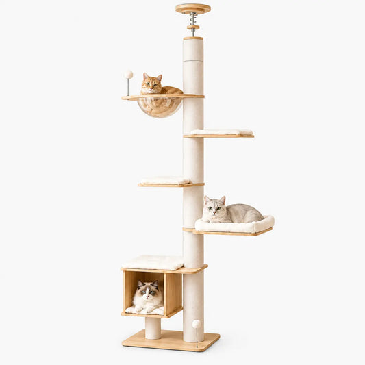 Arbre à Chat Plafond avec Griffoir et Hamac