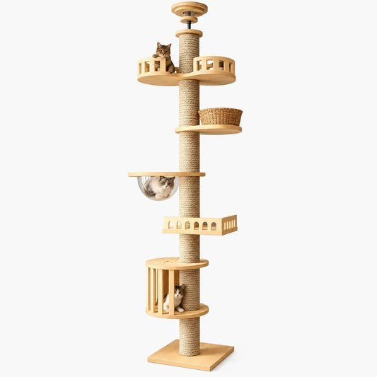 Arbre à Chat XXL en Bois Naturel avec Griffoir Plafond