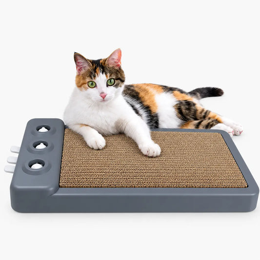 Griffoir pour Chat avec Base Antidérapante
