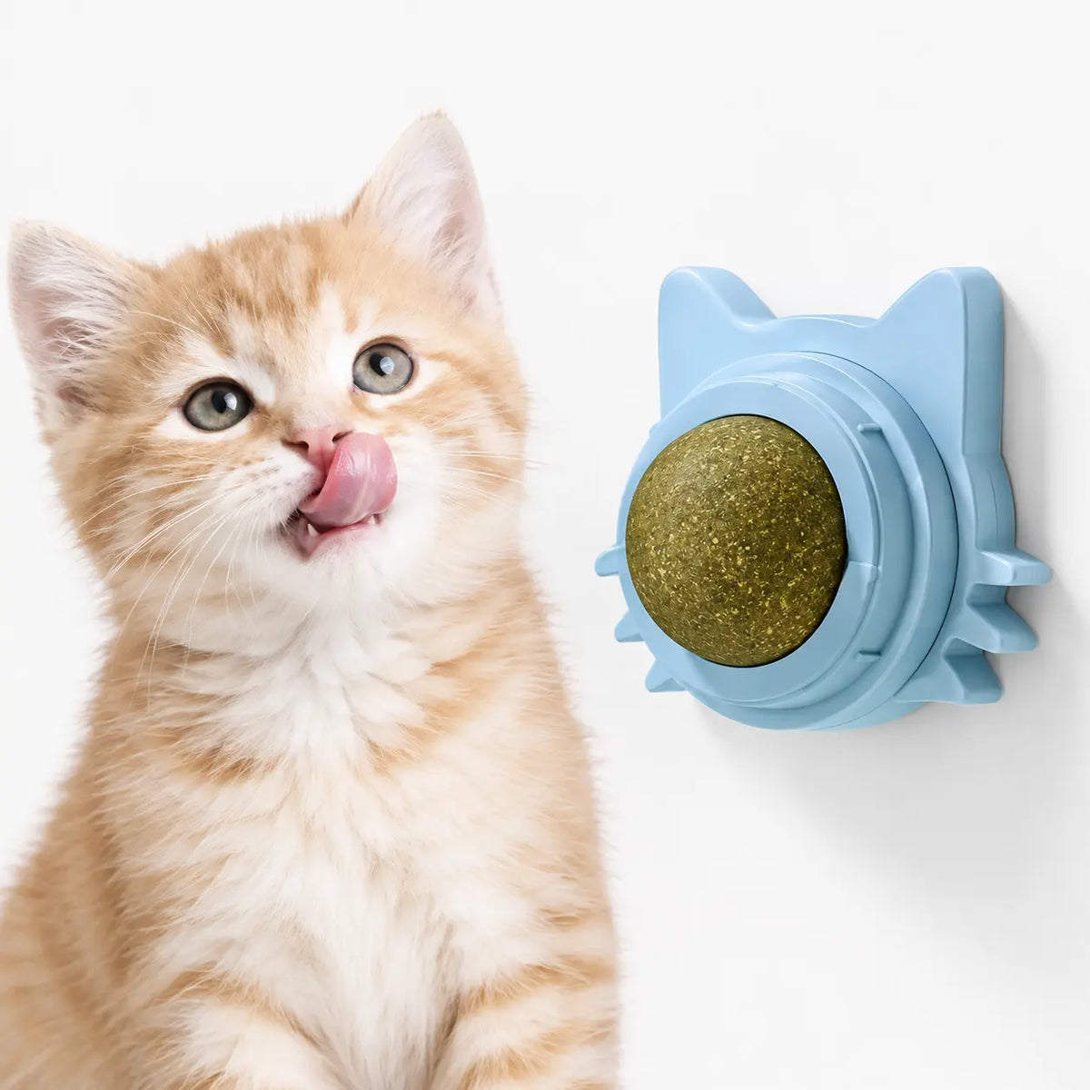 Jouet mural pour chat avec herbe à chat