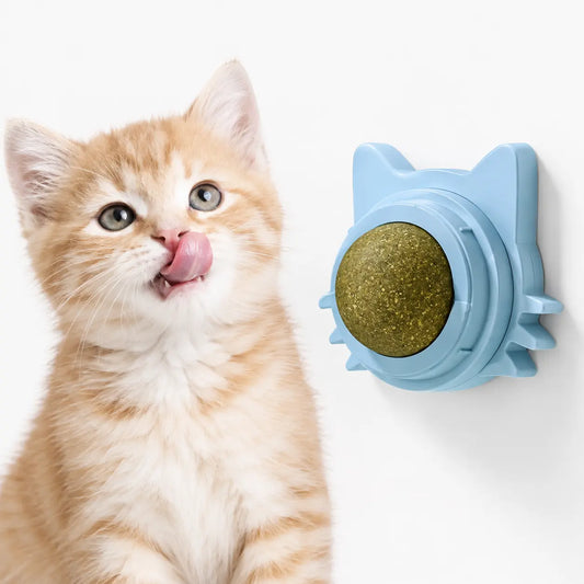 Jouet mural pour chat avec herbe à chat