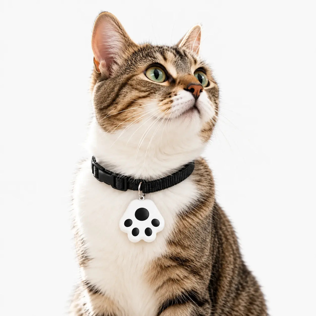 Traceur GPS Bluetooth pour Chat - Léger et Précis