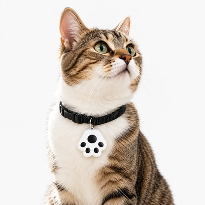 Traceur GPS Bluetooth pour Chat - Léger et Précis