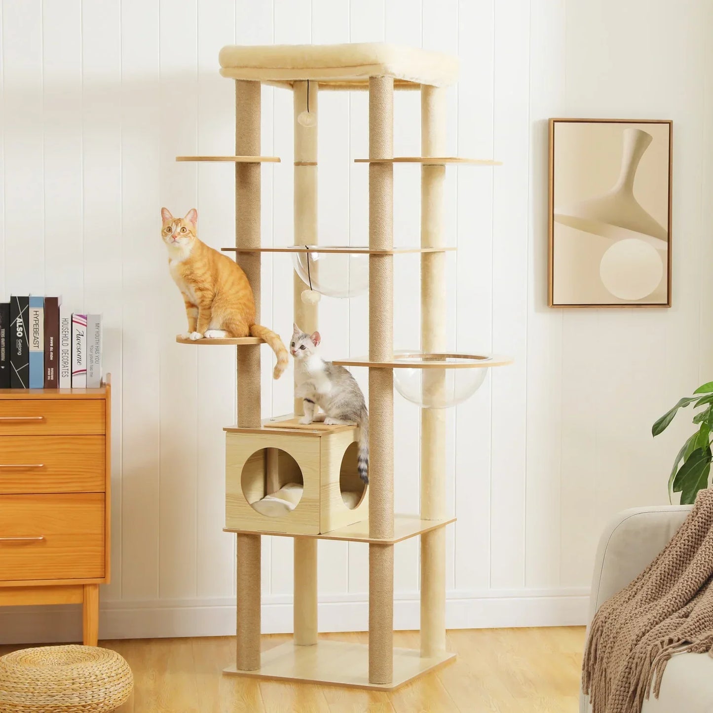Arbre à Chat XXL 180cm Hamac Bois Beige – Talus