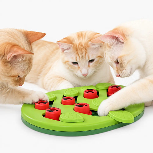 Puzzle Anti-Ennui pour Chat avec Friandises