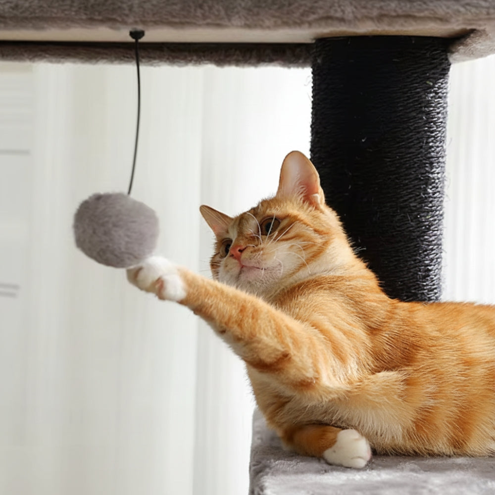 Arbre à Chat 114cm Hamac Bois | Gris | Le Perchoir Du Chat