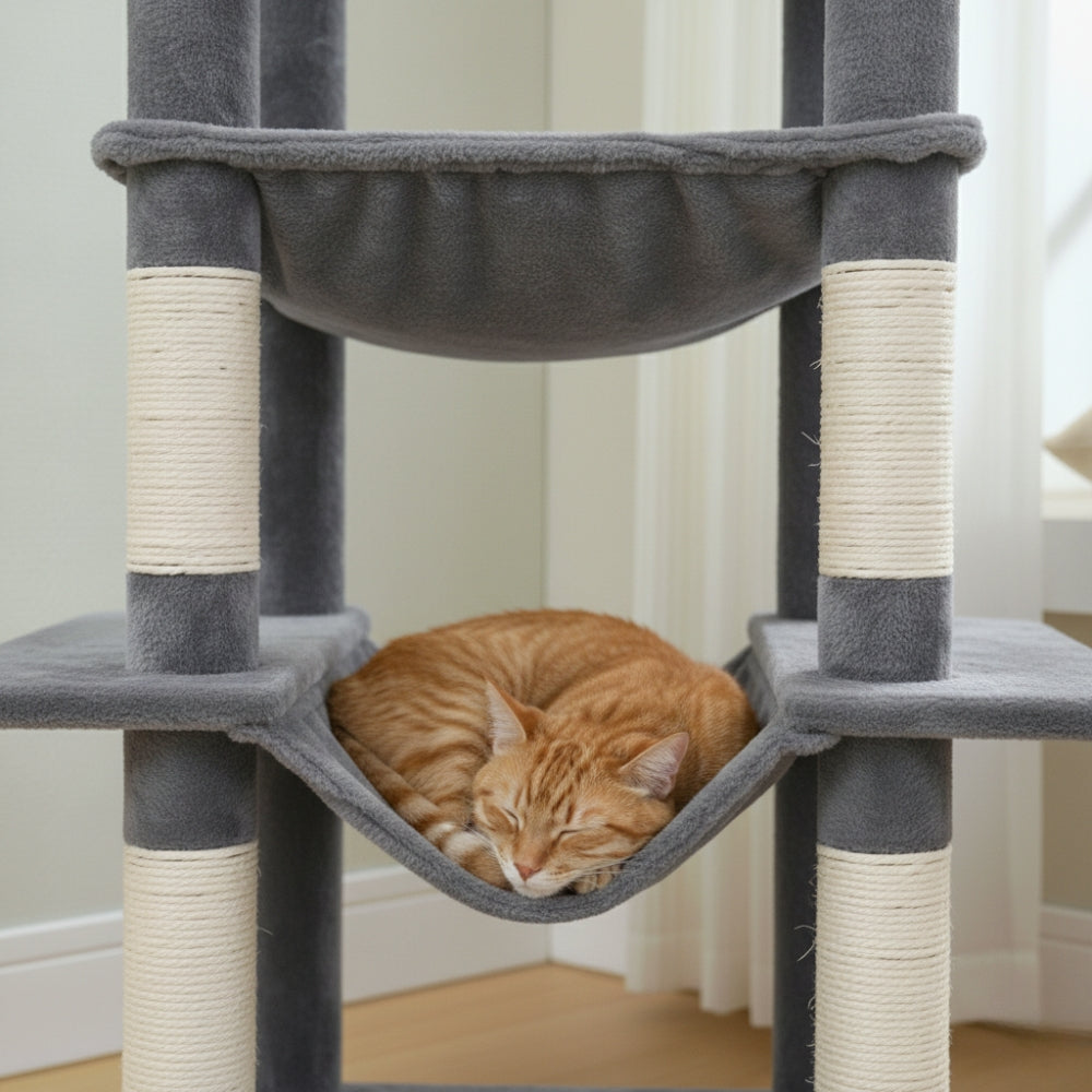 Arbre à Chat 145cm Hamac Foncé | Moderne Gris | Perchoir Du Chat