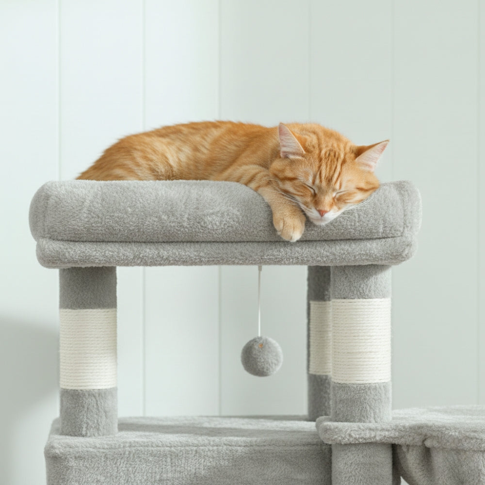 Arbre à Chat 170cm Hamac Bois Clair | Gris | Perchoir Du Chat