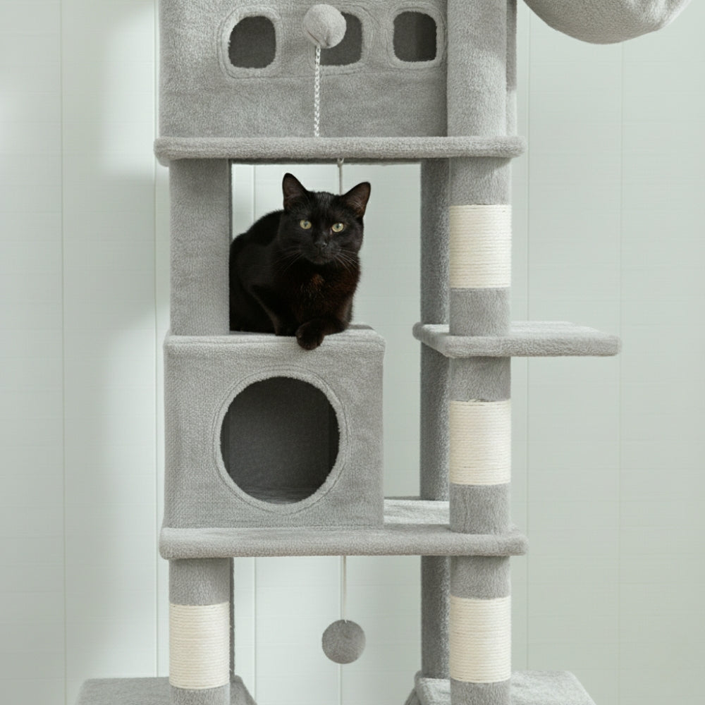Arbre à Chat 170cm Hamac Bois Clair | Gris | Perchoir Du Chat