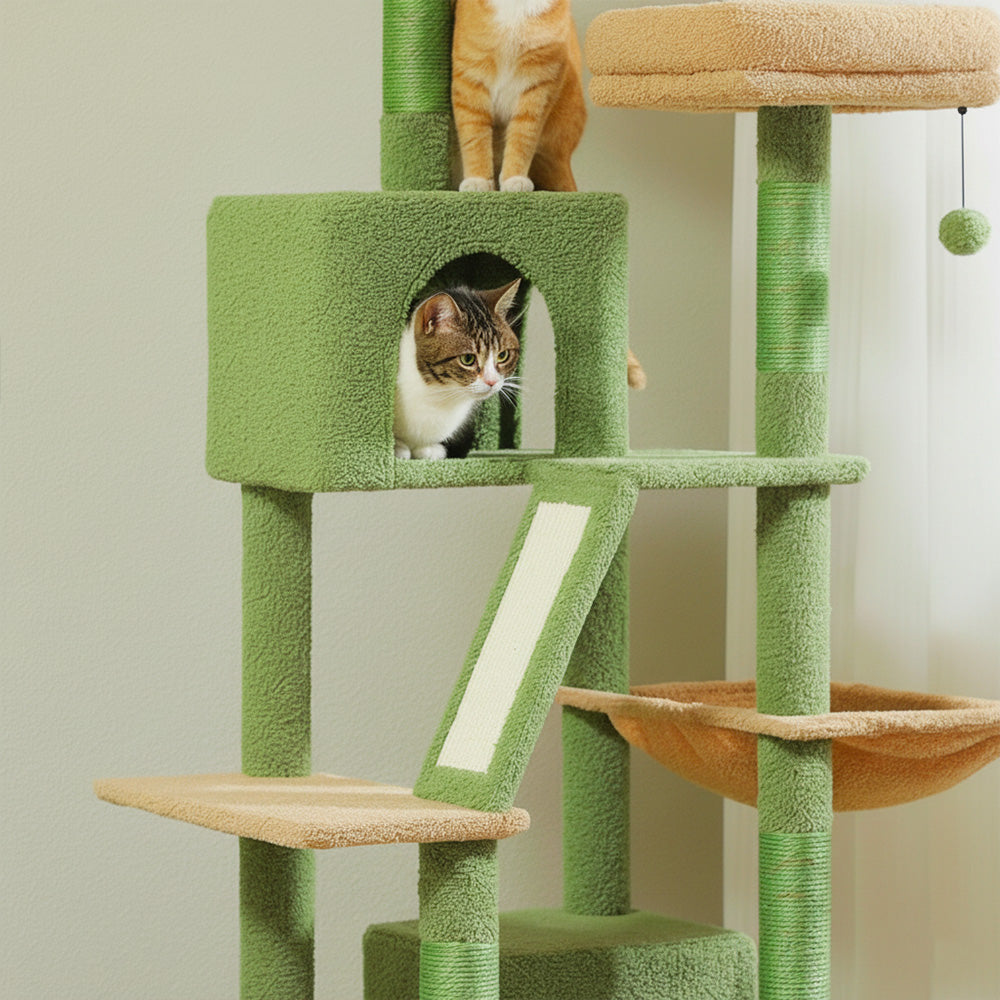 Arbre à Chat 180cm Hamac Bois | Vert | Perchoir Du Chat
