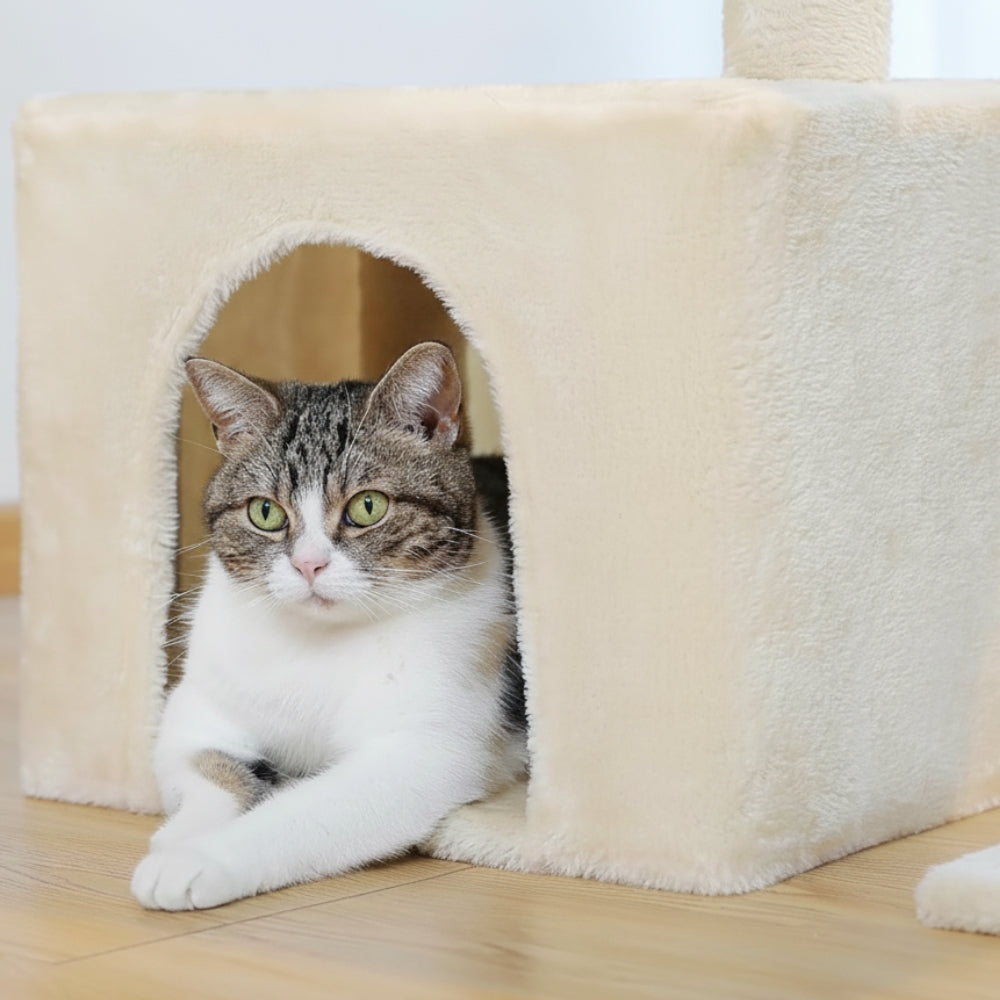 Arbre à Chat 73cm Hamac Bois | Beige | Perchoir Du Chat