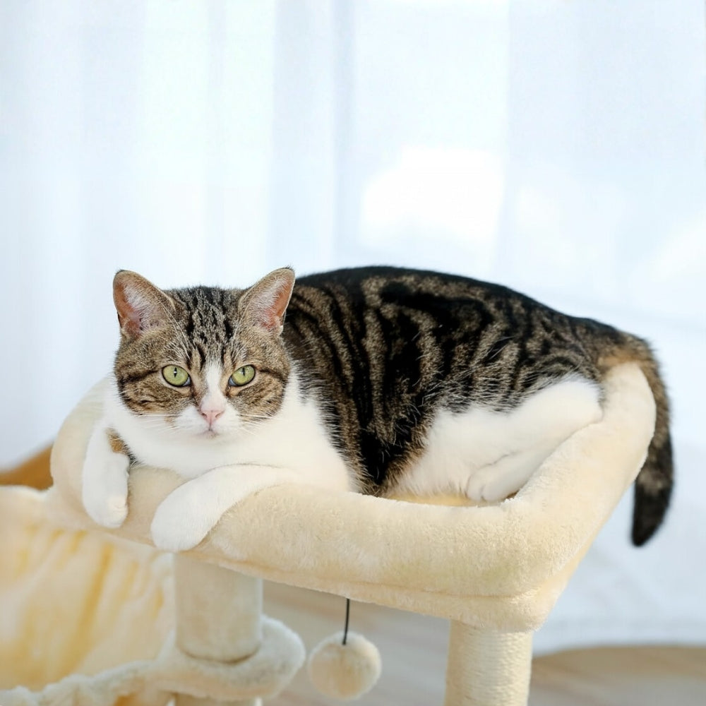 Arbre à Chat 73cm Hamac Bois | Beige | Perchoir Du Chat