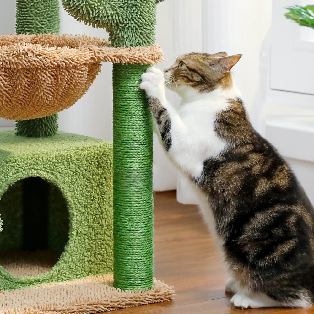 Arbre à Chat 79cm Hamac Bois | Design | Perchoir Du Chat
