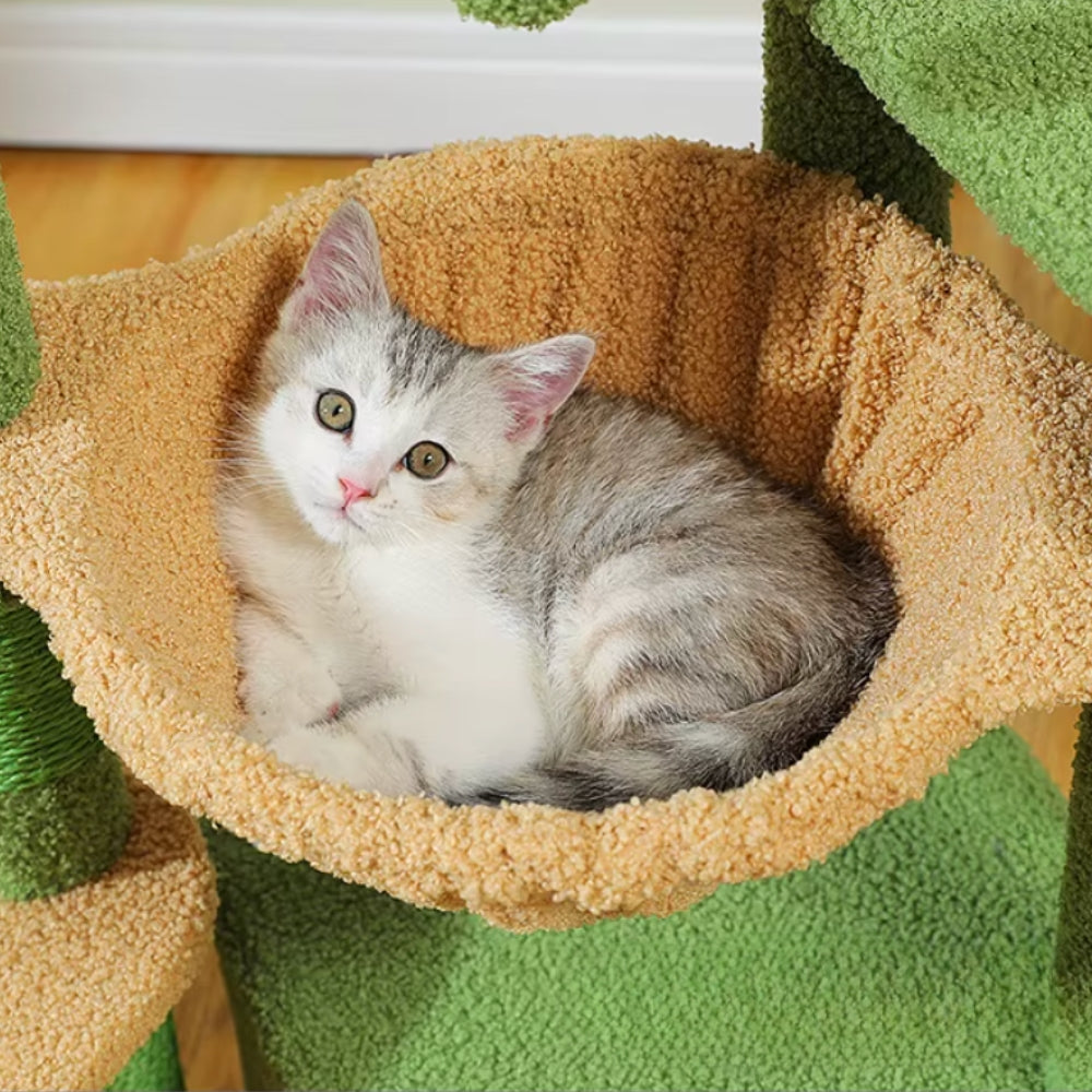 Arbre à Chat 92cm Hamac Bois | Vert Beige | Perchoir Du Chat