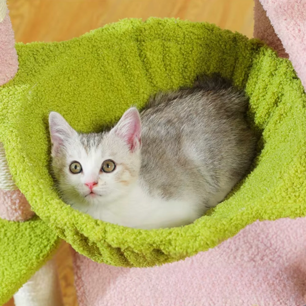 Arbre à Chat 92cm Hamac Bois | Vert Rose | Perchoir Du Chat