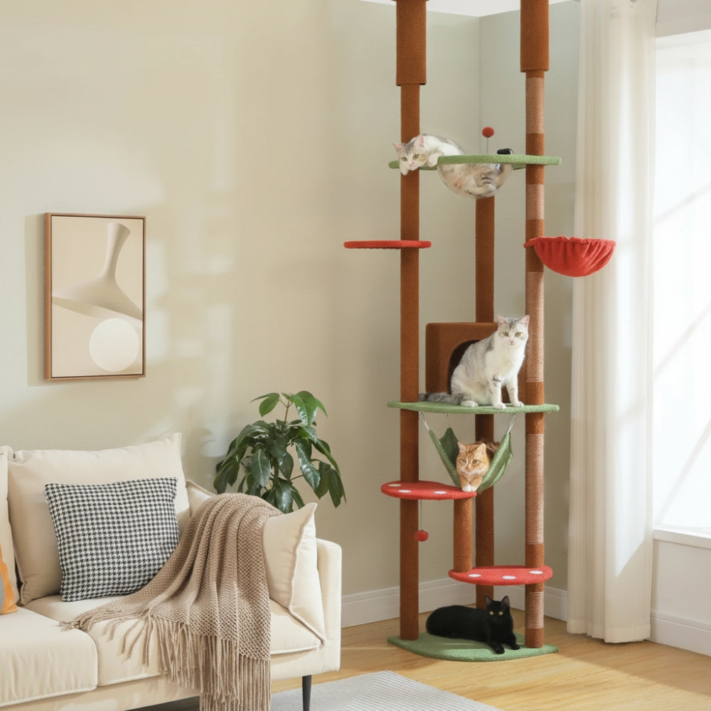 Arbre à Chat au Plafond Réglable Hamac Bois | Marron | Perchoir Du Chat