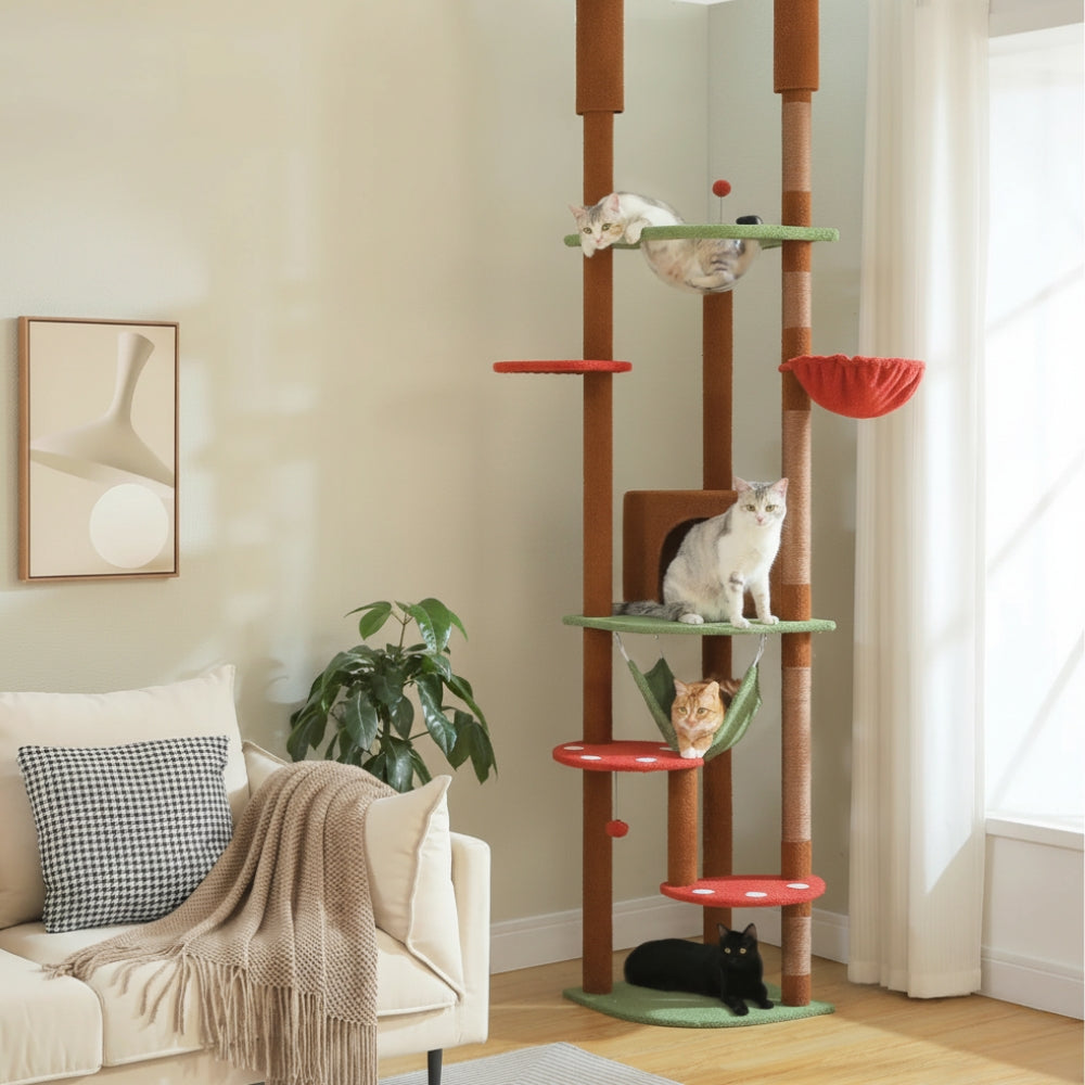 Arbre à Chat au Plafond Réglable Hamac Bois | Marron | Perchoir Du Chat