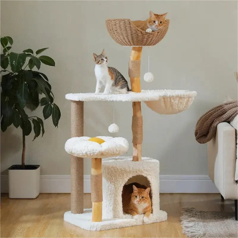 Arbre à Chat Condo et Griffoir