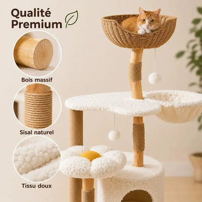 Arbre à Chat Condo et Griffoir