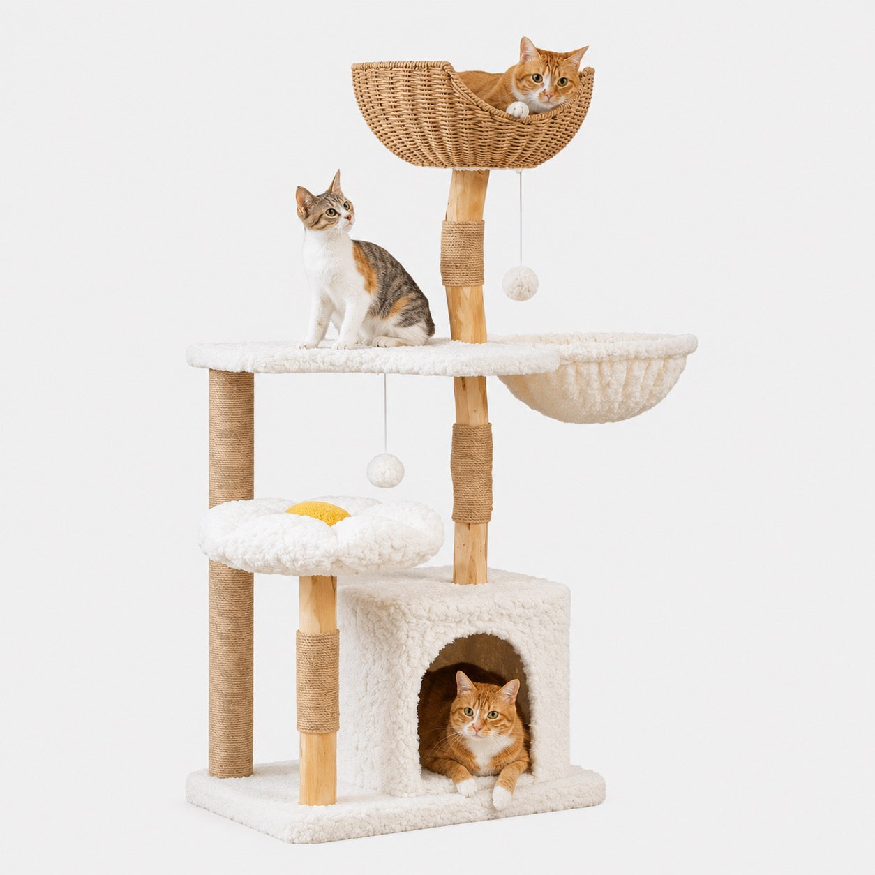 Arbre à Chat Condo et Griffoir