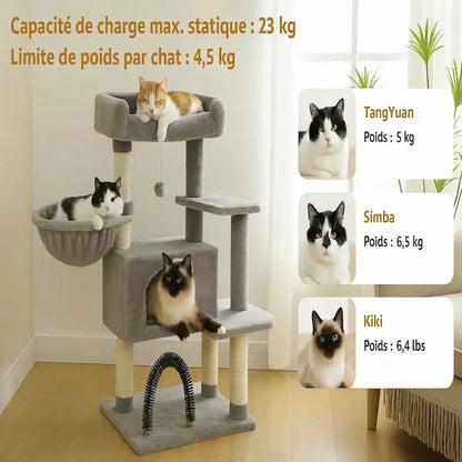 Arbre à Chat avec Hamac et Jouet - Griffoir Inclus