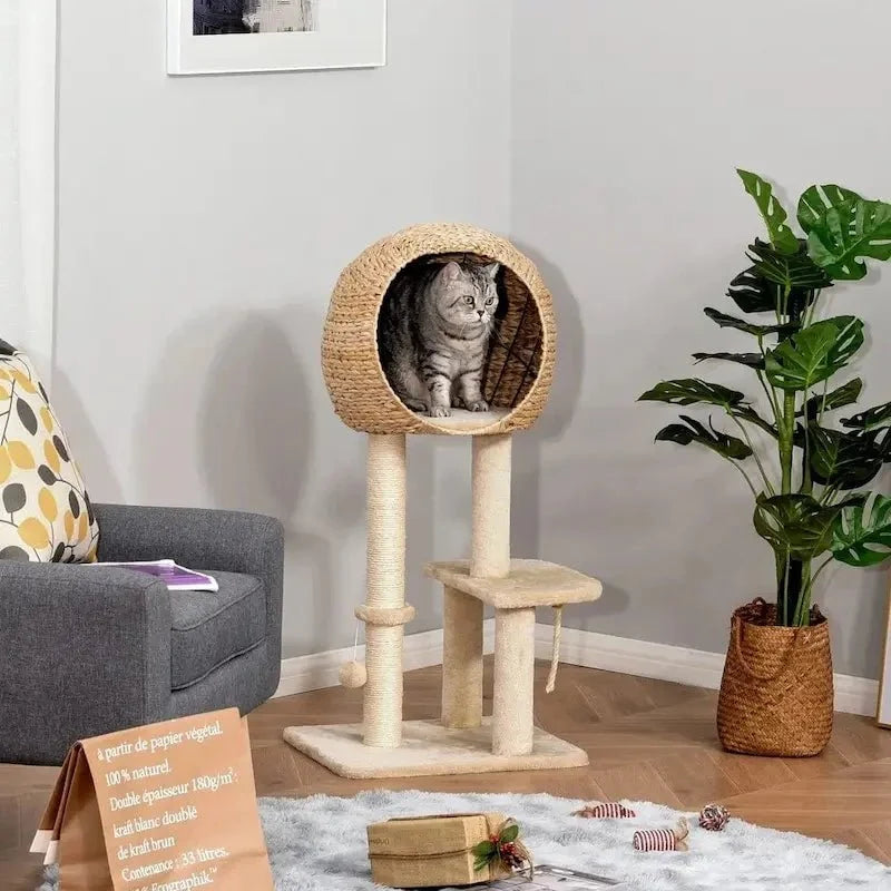 Arbre à Chat Panier Confort avec Griffoir