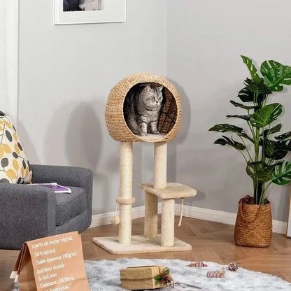 Arbre à Chat Panier Confort avec Griffoir