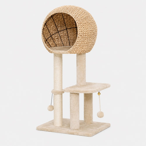 Arbre à Chat Panier Confort avec Griffoir
