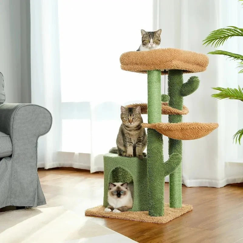 Arbre à Chat Cactus Griffoir Design