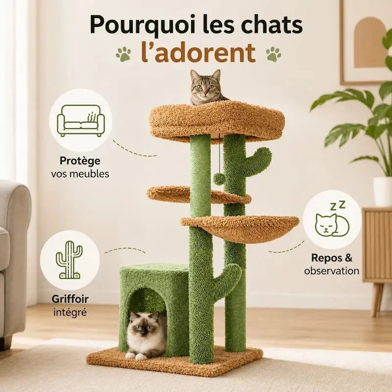 Arbre à Chat Cactus Griffoir Design