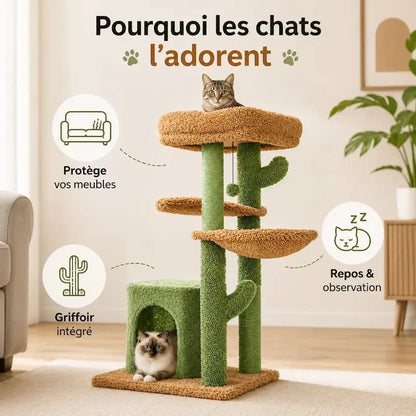 Arbre à Chat Cactus Griffoir Design