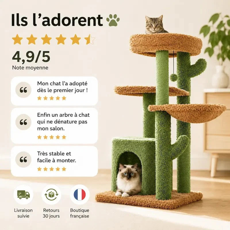 Arbre à Chat Cactus Griffoir Design