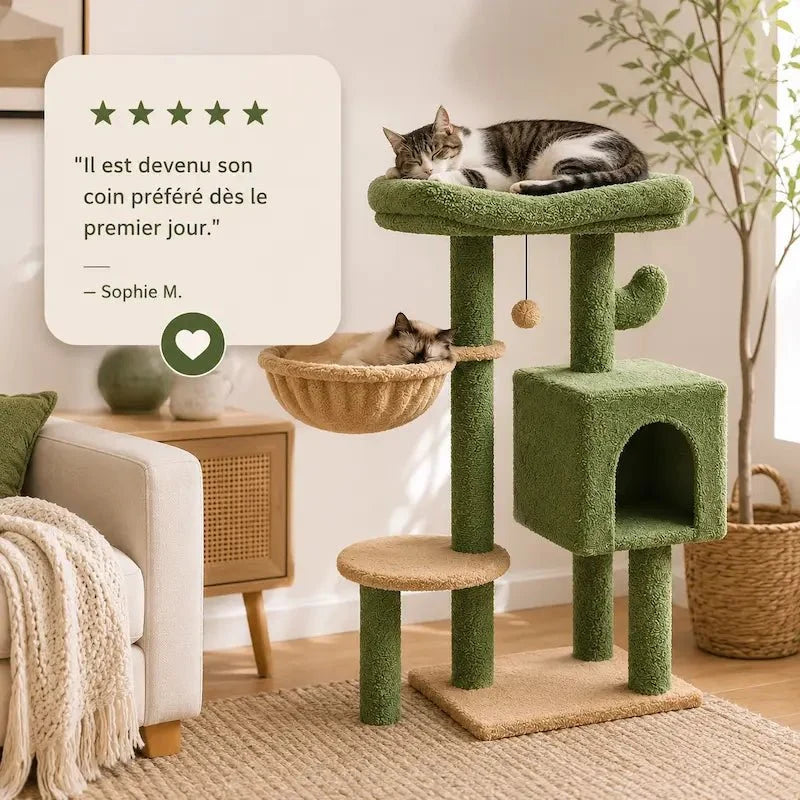 Arbre à Chat Cactus Stable et Compact