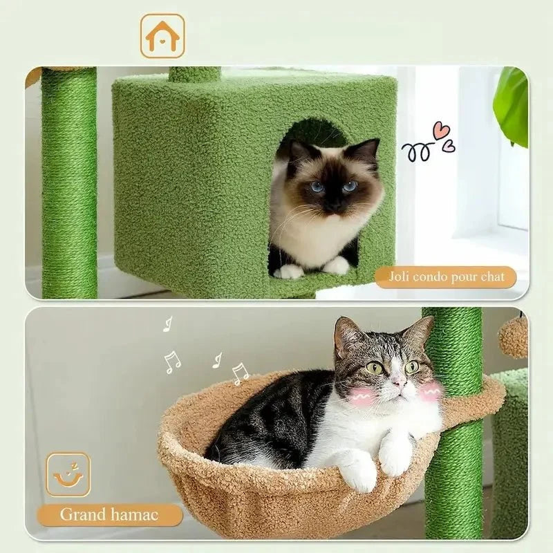 Arbre à Chat Cactus Stable et Compact