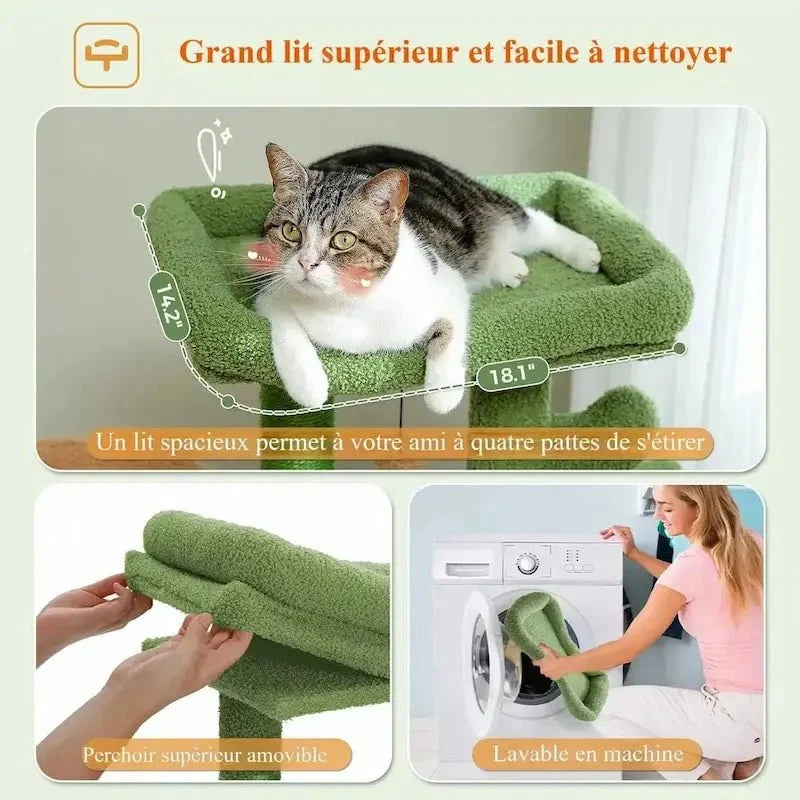 Arbre à Chat Cactus Stable et Compact