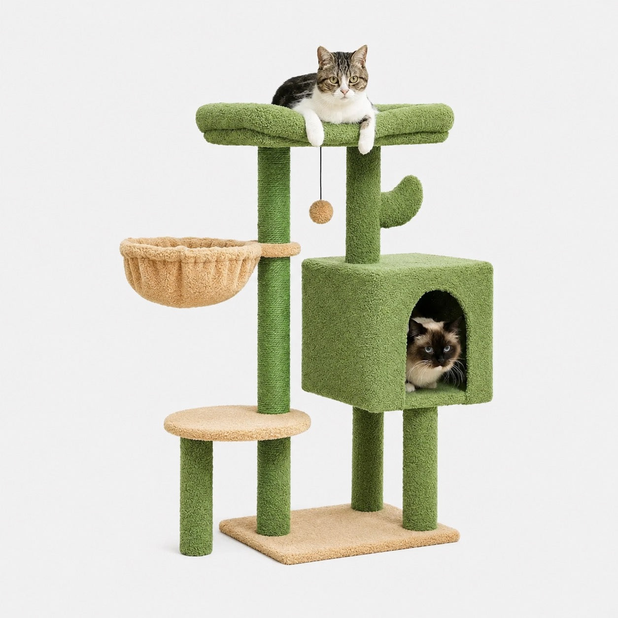 Arbre à Chat Cactus Stable et Compact