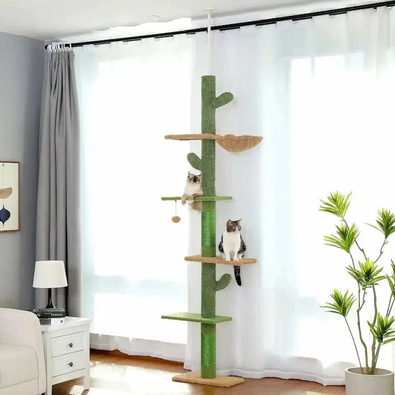 Griffoir Cactus pour Chat avec Hamac