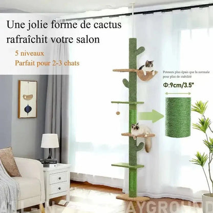 Griffoir Cactus pour Chat avec Hamac
