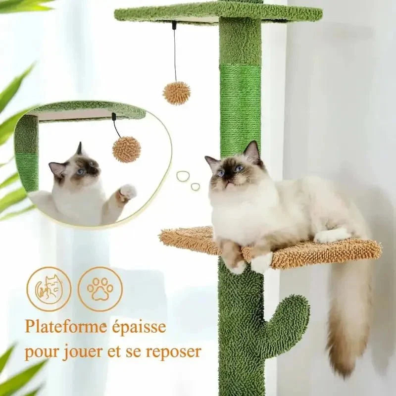 Griffoir Cactus pour Chat avec Hamac