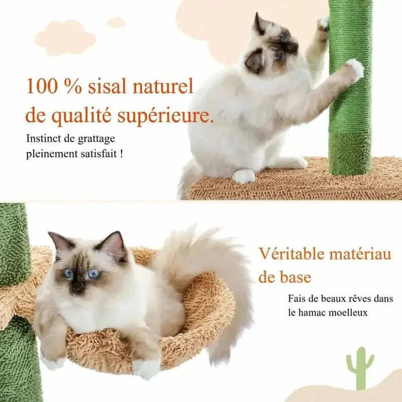 Griffoir Cactus pour Chat avec Hamac