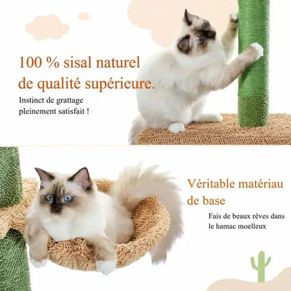Griffoir Cactus pour Chat avec Hamac