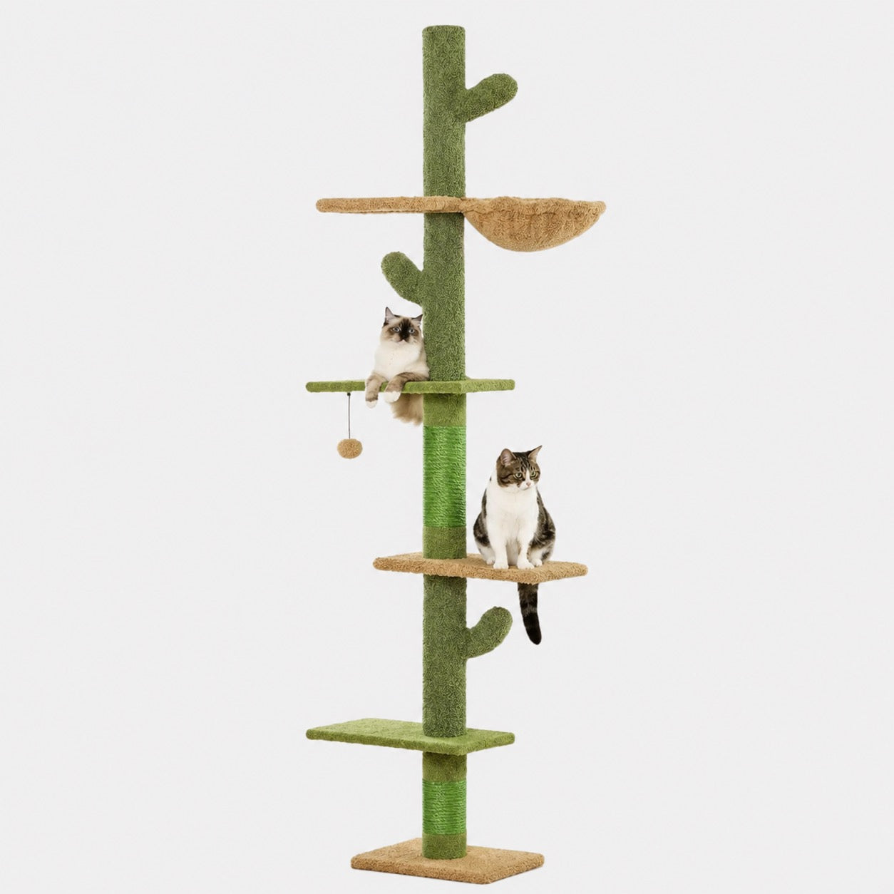 Griffoir Cactus pour Chat avec Hamac
