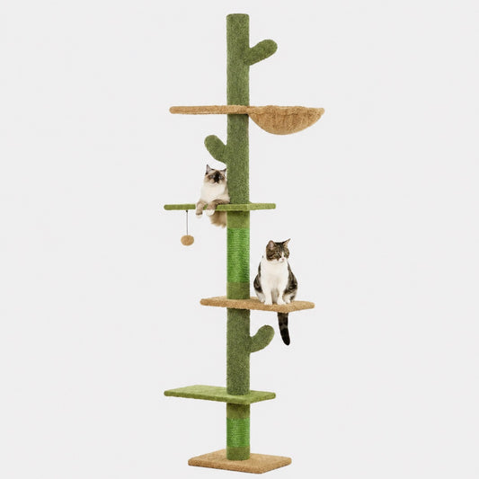 Griffoir Cactus pour Chat avec Hamac